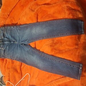American Eagle Outfitters Classic Blue Skinny Jeans